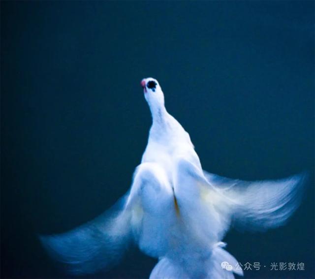 九月：敦煌飞天公园秋色浓