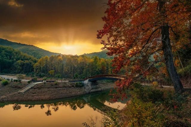露营、垂钓……富阳这个村游客不断，越来越红火！