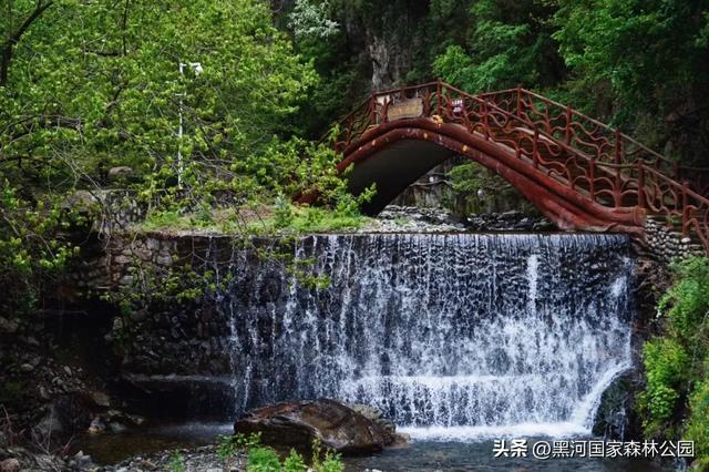 美如仙境!邀您共赏雨中的黑河国家森林公园~