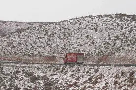 产地直发、建智能物流园！京东物流降低“甘羊出山”成本，有小哥运出1000只羊图片