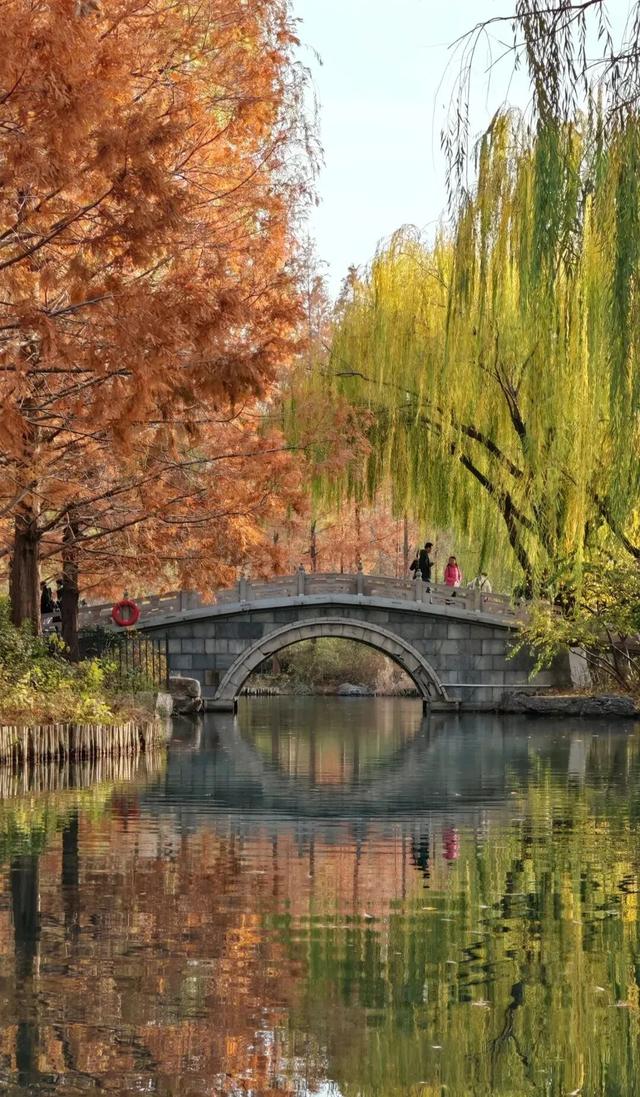 这个冬天，被山东这片红色“暖”到了！