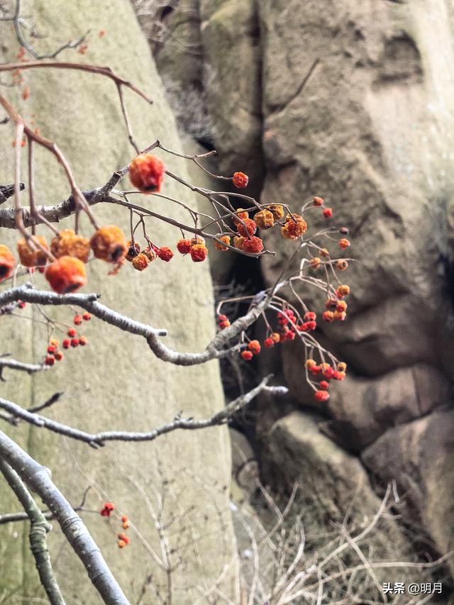 大珠山，你有多少神奇？