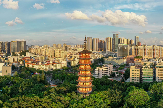 龙峰塔下，聆听龙华三十余载步履与回响