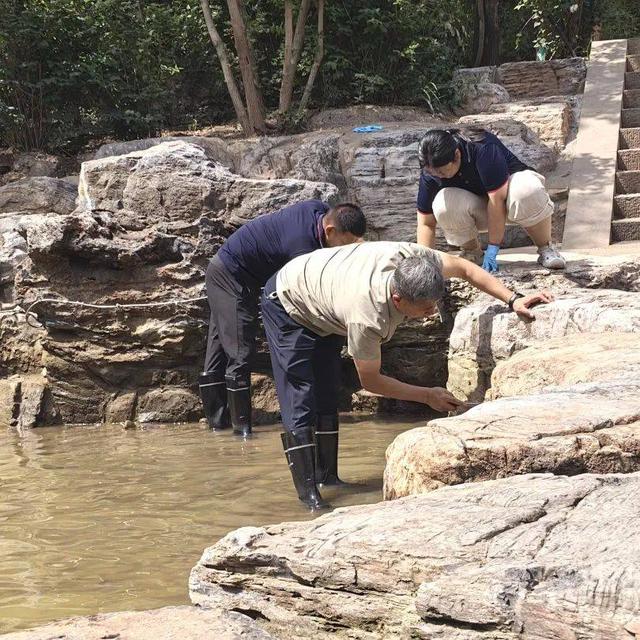 以初心净碧水 蒙山用行动守护每一份遇见
