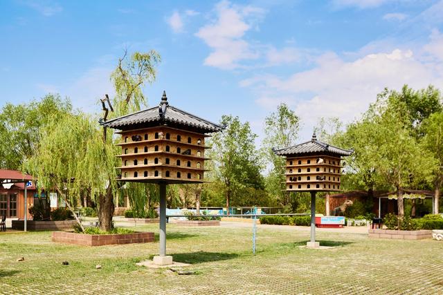 泰安太阳部落，穿越时空，探寻史前文明，这里是研学游玩的好去处