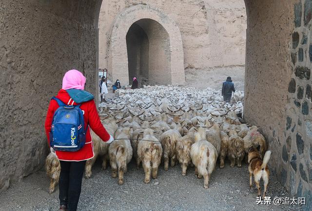 初冬，古城迎来西行客