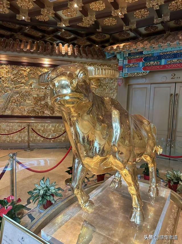 华西村的金牛	，现在看来真是一次成功的投资