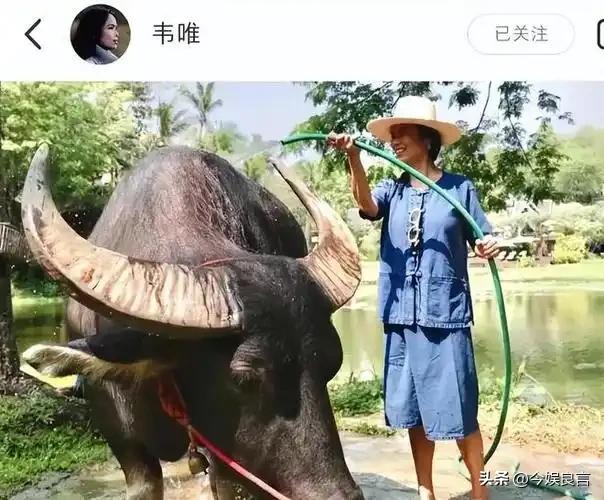 62岁韦唯现状：脊柱断裂已恢复，前夫已死，三个混血儿子回国相伴