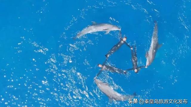 点赞！北戴河新区入围中国旅游报“2025中国旅游产业影响力案例”