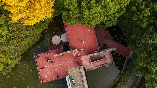 上海市中心又一公园拆除围墙！24小时开放！内藏明城墙和宝藏机位！怎么还有个“灶披间”？