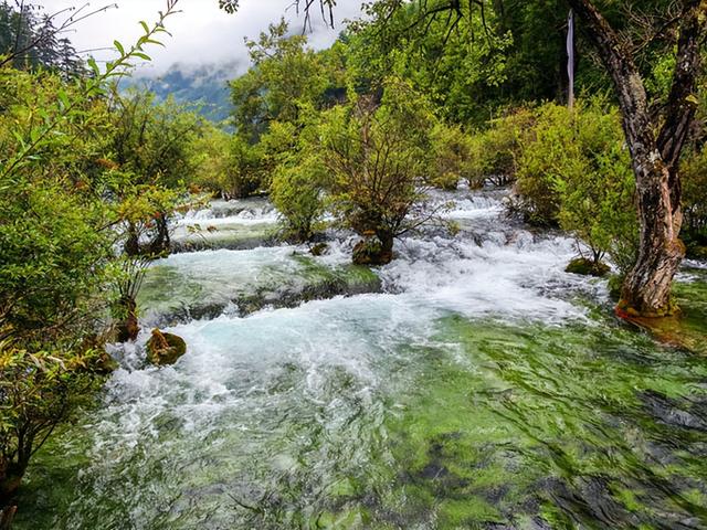 四川旅游：三游人间仙境九寨沟（图）