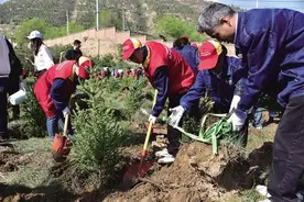 兰州市2025年“云植树”志愿服务活动报名小程序上线图片