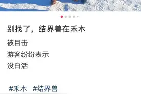 尼格买提、撒贝宁最新合照！网友笑喷：结界兽来了图片