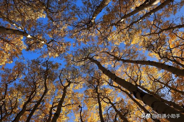 大光圈超广角变焦镜头：佳能 RF 15-35mm f/2.8 L IS USM 镜头评测