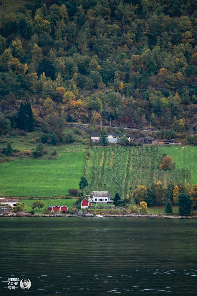 挪威秋韵，峡湾森境