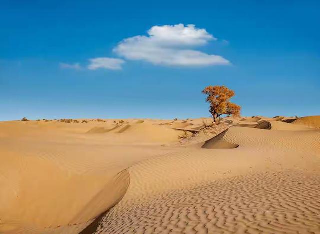 中国又创造了一大“奇迹”，14亿人将受益！让海外人士都惊呆了！