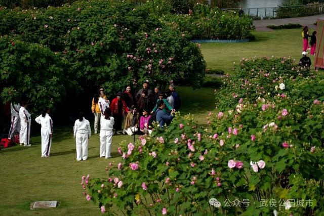 天府芙蓉园花开烂漫，邀请你来一场和秋天的浪漫约会