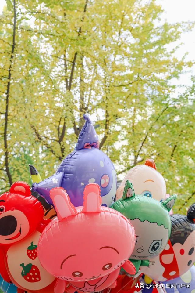 等了半个月！资阳小北街银杏终于黄透了