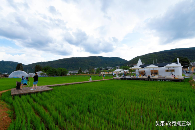 梨花漫野赴春约｜2026年五华区梨花节，西翥诗意田园、文化体验、美食康养3条慢游线路快来一键收藏吧！