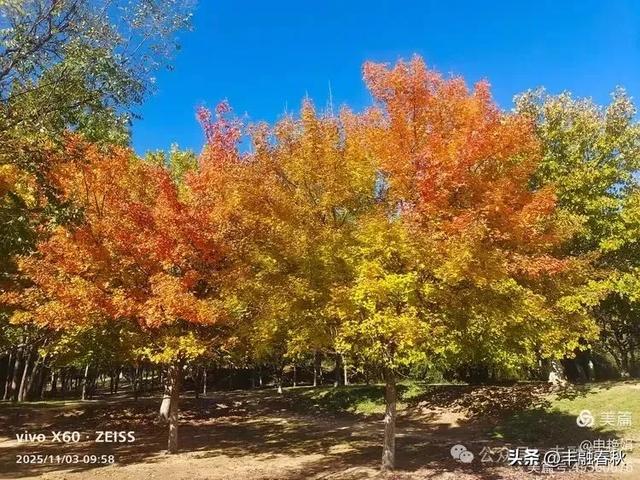 青岛即墨马山寻趣:一座地质公园的秋日私语|申艳娟