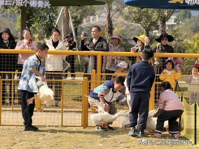 安逸四川·仁和之冬 | 暖冬集市来袭,没人能空着手出来!