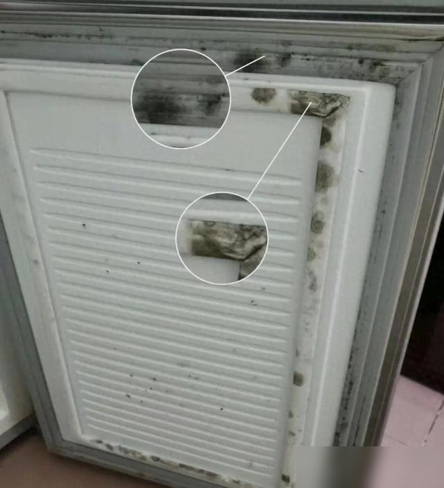 太恶心了，这8种物品比马桶还要脏，你可能天天用，却不知道