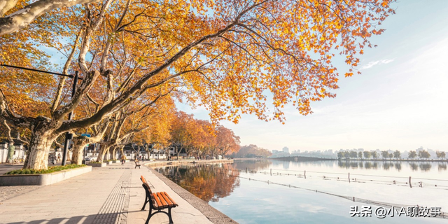 又一5A景区官宣永久免费！年入数亿，关键是秋天美到词穷！