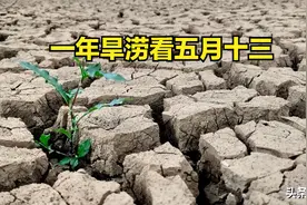 “一年旱涝看五月十三”，2024年夏天有大涝吗？农谚咋说图片