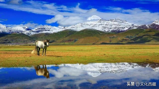 太绝了！西藏那些一眼难忘的山形！你认识几座？
