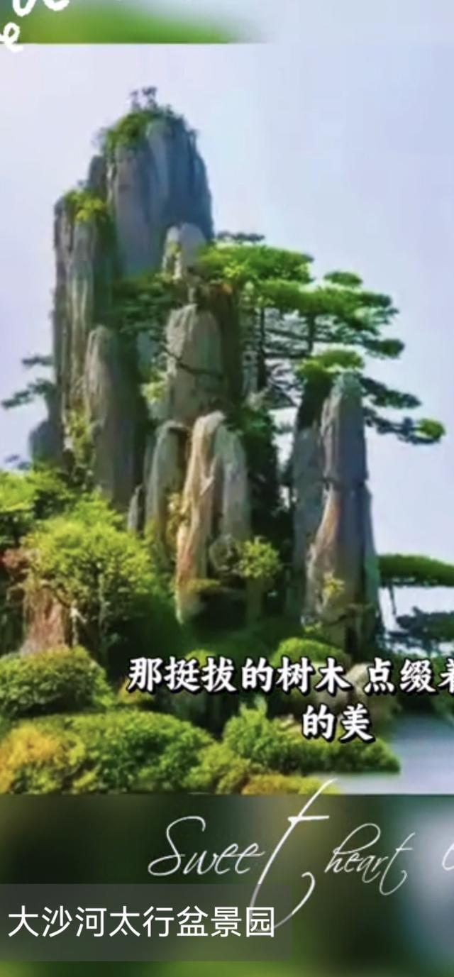 正月十五焦作怎么玩？