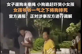它不咬人！它不咬人！但这难道就能成为遛狗不牵绳的理由吗？图片