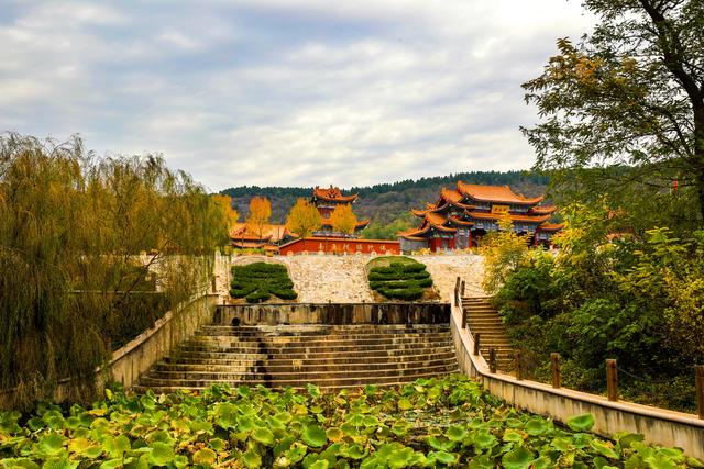 呐！送你一片立冬日的多巴胺