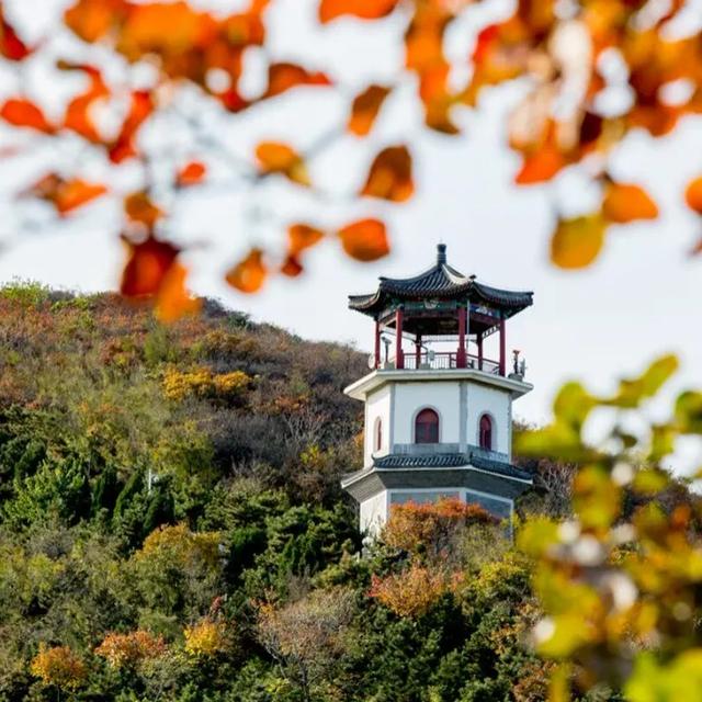 想要赏秋？来丰台就对啦——