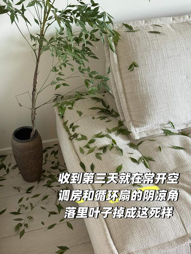 终于知道为何不能在网上买“这6样”东西，都是套路，省钱坑自己