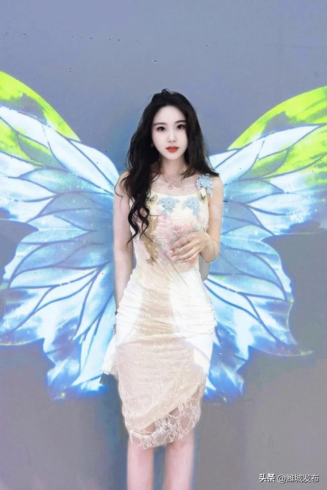 潍城惊现「蝴蝶秘境」🦋 7月26日起，等你来“蝶”变！