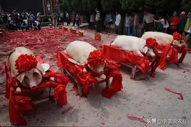 猪价有变！猪企率先开跑，你跑不跑？2024年3月22日生猪行情分析图片