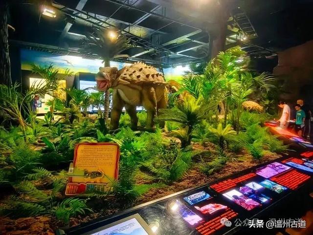 秀山丽水古处州，风光人文之旅，值得你来打卡！
