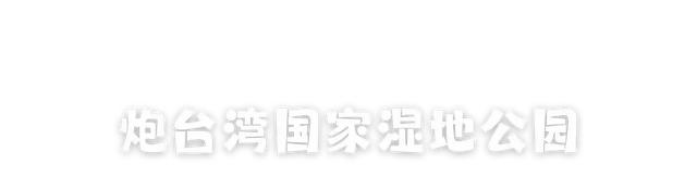 体荟四季｜抓住暑假尾巴，从室内运动开始！上海一日亲子游玩线路全攻略