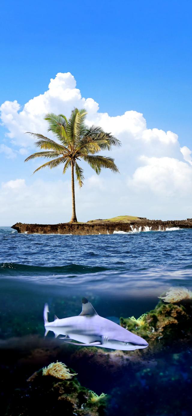 手机壁纸|风景