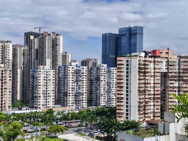 曾腾芳：在珠海登将军山