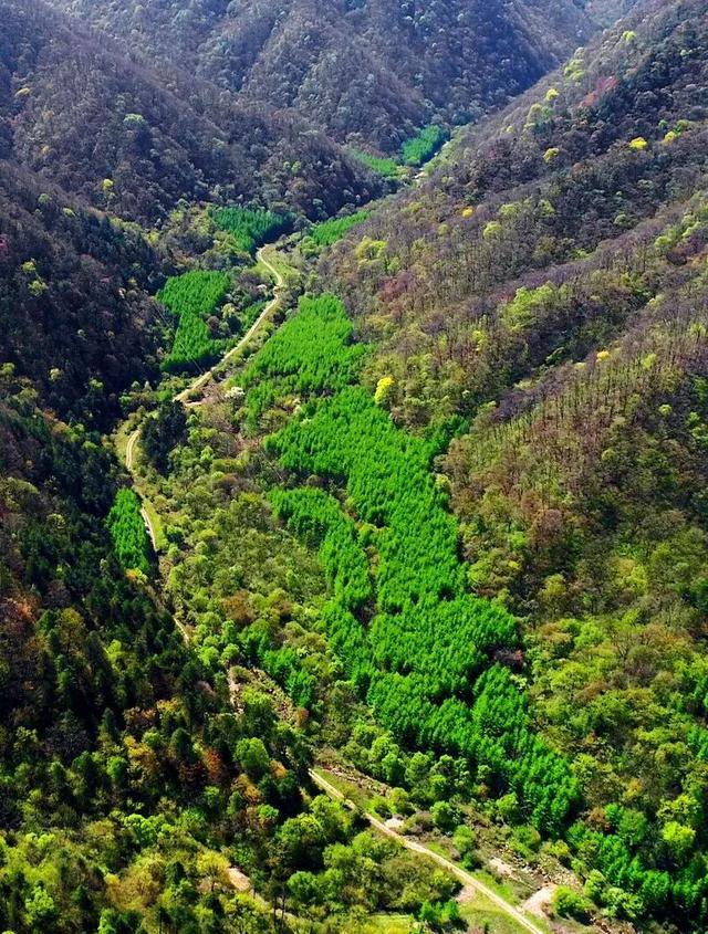 肖娴：马蹄和茶记住的古道