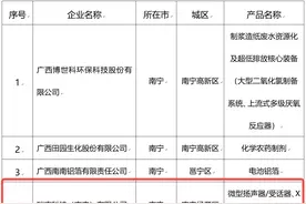 瑞声科技（南宁）有限公司获评2023年广西制造业单项冠军示范企业图片