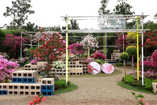 深度赏析海南三角梅赏花周6个最美花园 | 动态