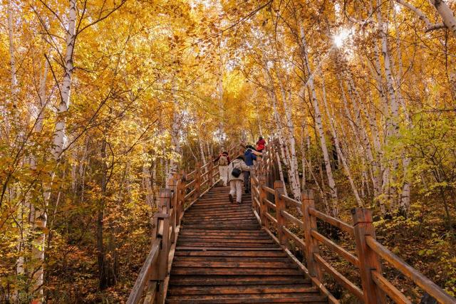 春秋假来袭！旅游企业如何把握新机遇？