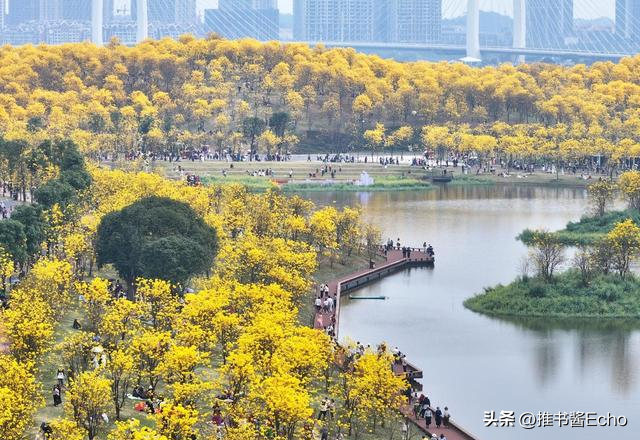 疯了！南宁青秀山被“攻陷”，几万人堵在山上，这花有毒！