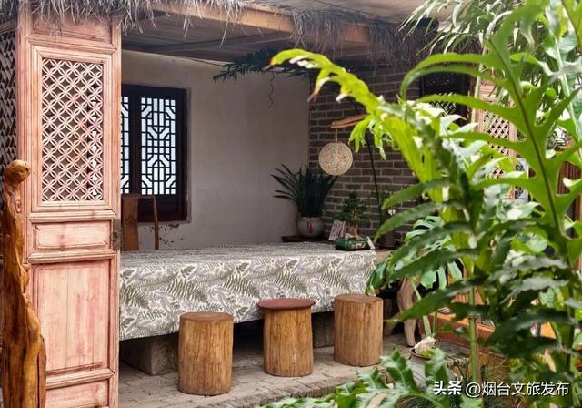 【乐游烟台】周末好去处丨全是花花！烟台神仙小店被花包围了