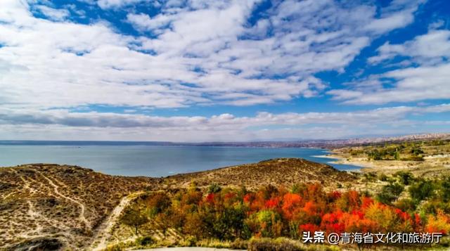 邂逅海南,赴一场斑斓的秋日盛景之约