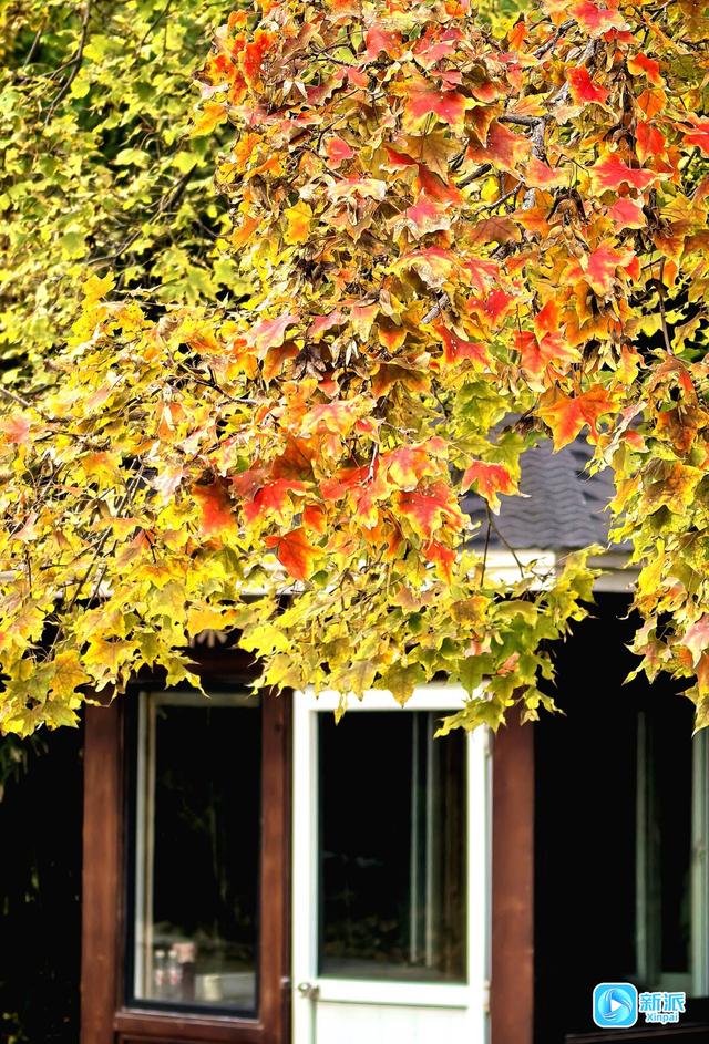 浞景无边，快乐亦无边~