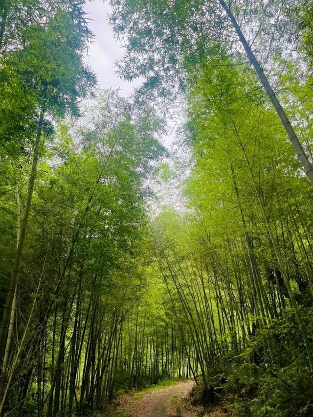 沁园溪语民宿：藏于从化山河间，以私汤为引，筑满维度的慢生活秘