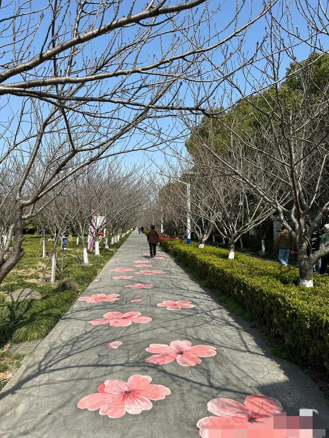 我是成都家庭主妇，去了趟湖北武汉，忍不住想说：对武汉5点印象